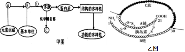 菁优网