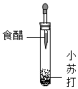 菁優(yōu)網