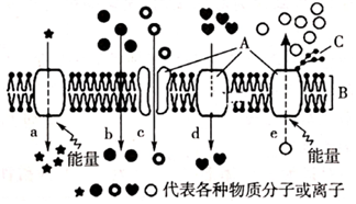 菁優(yōu)網(wǎng)