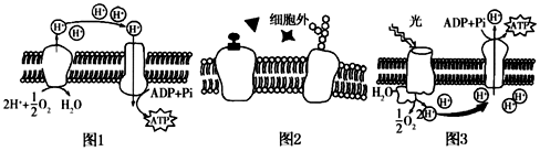 菁優(yōu)網(wǎng)