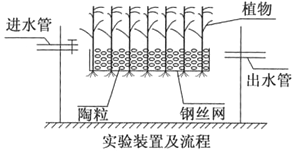 菁優(yōu)網