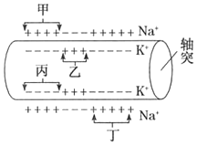 菁優(yōu)網(wǎng)