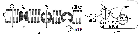 菁優(yōu)網(wǎng)