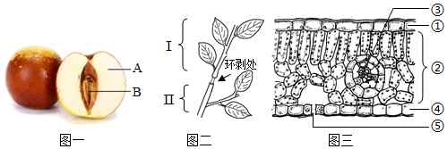 菁優(yōu)網(wǎng)