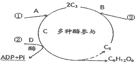 菁優(yōu)網