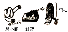 菁優(yōu)網(wǎng)