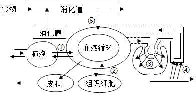 菁優(yōu)網(wǎng)