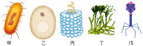 菁優(yōu)網