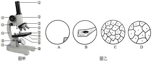 菁優(yōu)網(wǎng)