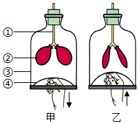 菁優(yōu)網(wǎng)