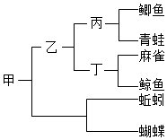 菁優(yōu)網(wǎng)