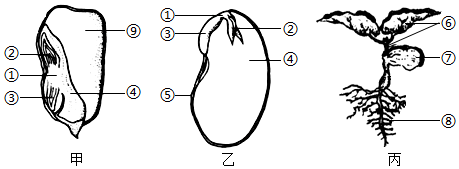 菁優(yōu)網(wǎng)