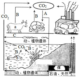 菁優(yōu)網(wǎng)