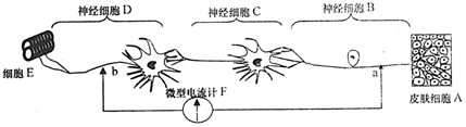 菁優(yōu)網(wǎng)