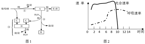 菁優(yōu)網(wǎng)