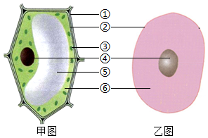 菁優(yōu)網