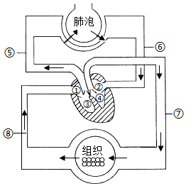 菁優(yōu)網