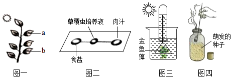 菁優(yōu)網(wǎng)