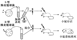 菁優(yōu)網