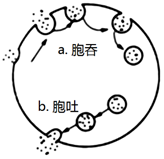 菁優(yōu)網(wǎng)