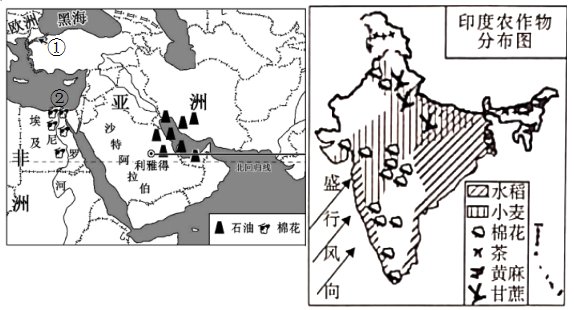 菁優(yōu)網