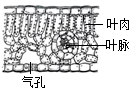 菁優(yōu)網(wǎng)