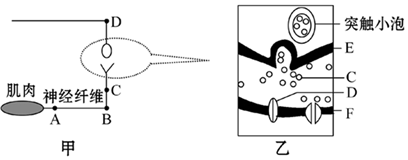 菁優(yōu)網(wǎng)