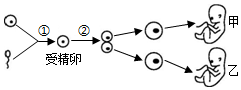 菁優(yōu)網(wǎng)