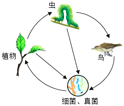 菁優(yōu)網(wǎng)