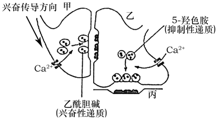 菁優(yōu)網(wǎng)