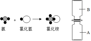 菁優(yōu)網