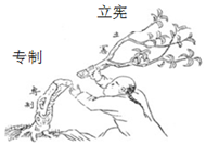 菁優(yōu)網(wǎng)