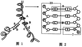 菁優(yōu)網(wǎng)