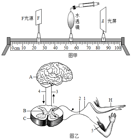 菁優(yōu)網(wǎng)