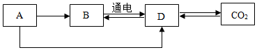 菁優(yōu)網(wǎng)