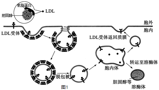 菁優(yōu)網