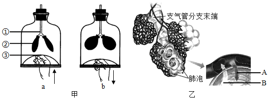 菁優(yōu)網(wǎng)