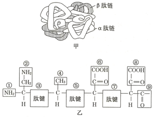 菁優(yōu)網