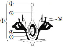 菁優(yōu)網(wǎng)