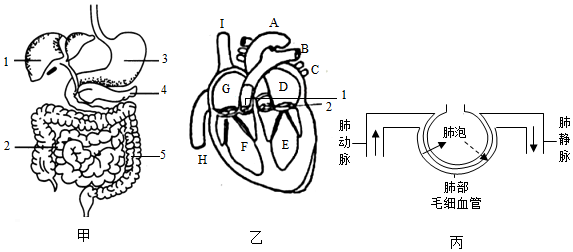 菁優(yōu)網