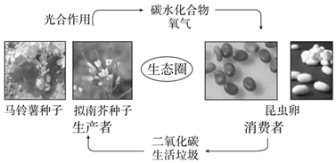 菁優(yōu)網