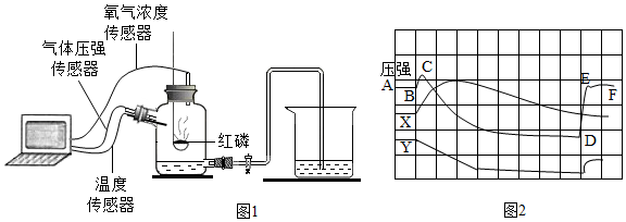 菁優(yōu)網