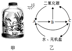 菁優(yōu)網(wǎng)