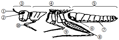 菁優(yōu)網(wǎng)