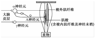 菁優(yōu)網