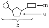 菁優(yōu)網