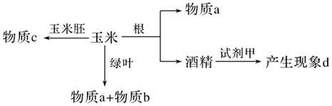 菁優(yōu)網