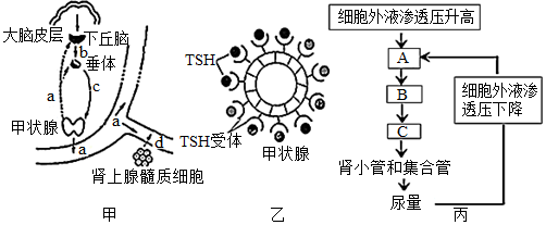 菁優(yōu)網