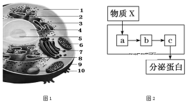 菁優(yōu)網