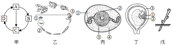 菁優(yōu)網(wǎng)